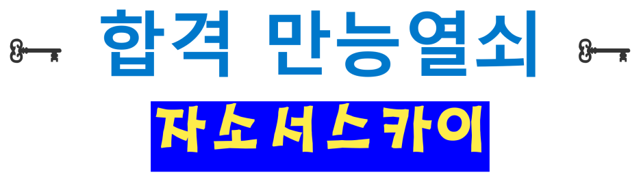 자소서 컨설팅- 매년 삼성, SK, 현대, 기아, CJ 다수 합격