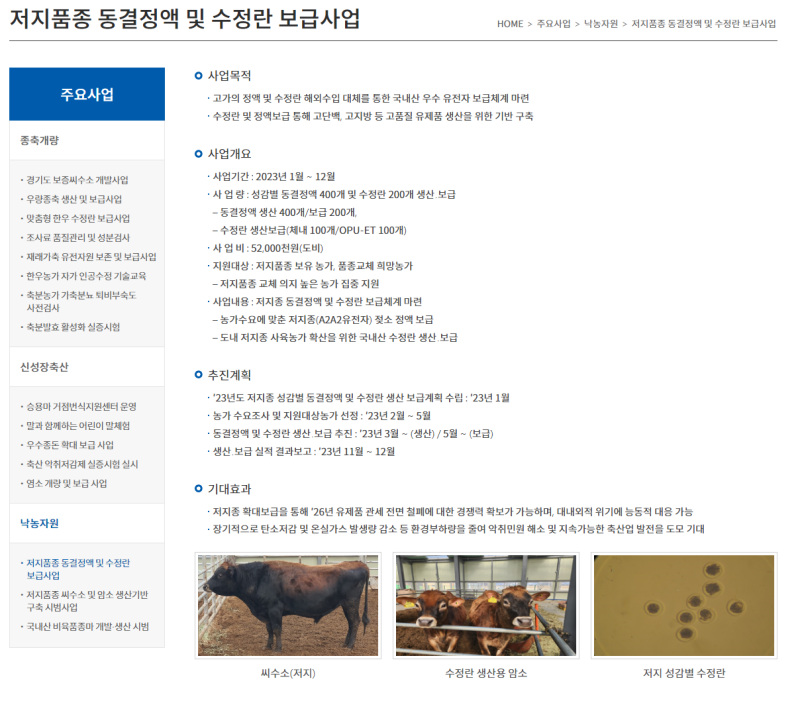 자소서 컨설팅- 매년 삼성, SK, 현대, 기아, CJ 다수 합격