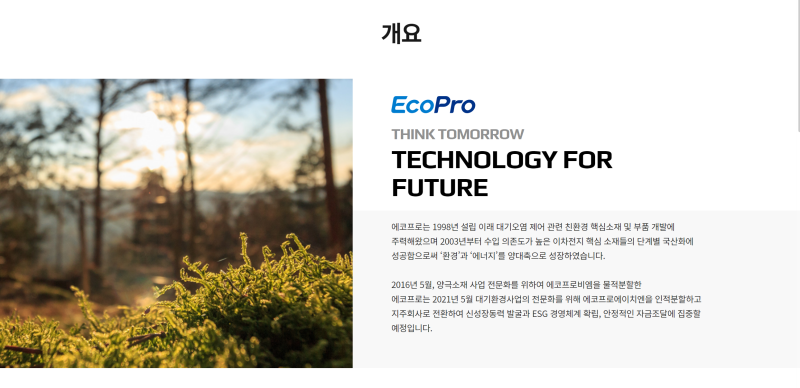 자소서 컨설팅- 매년 삼성, SK, 현대, 기아, CJ 다수 합격