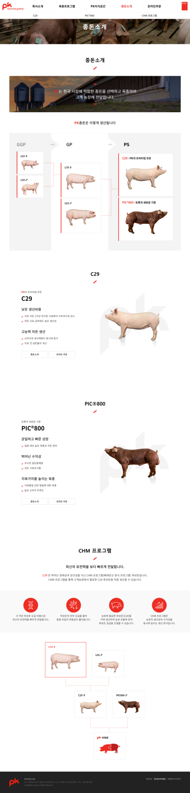 자소서 컨설팅- 매년 삼성, SK, 현대, 기아, CJ 다수 합격